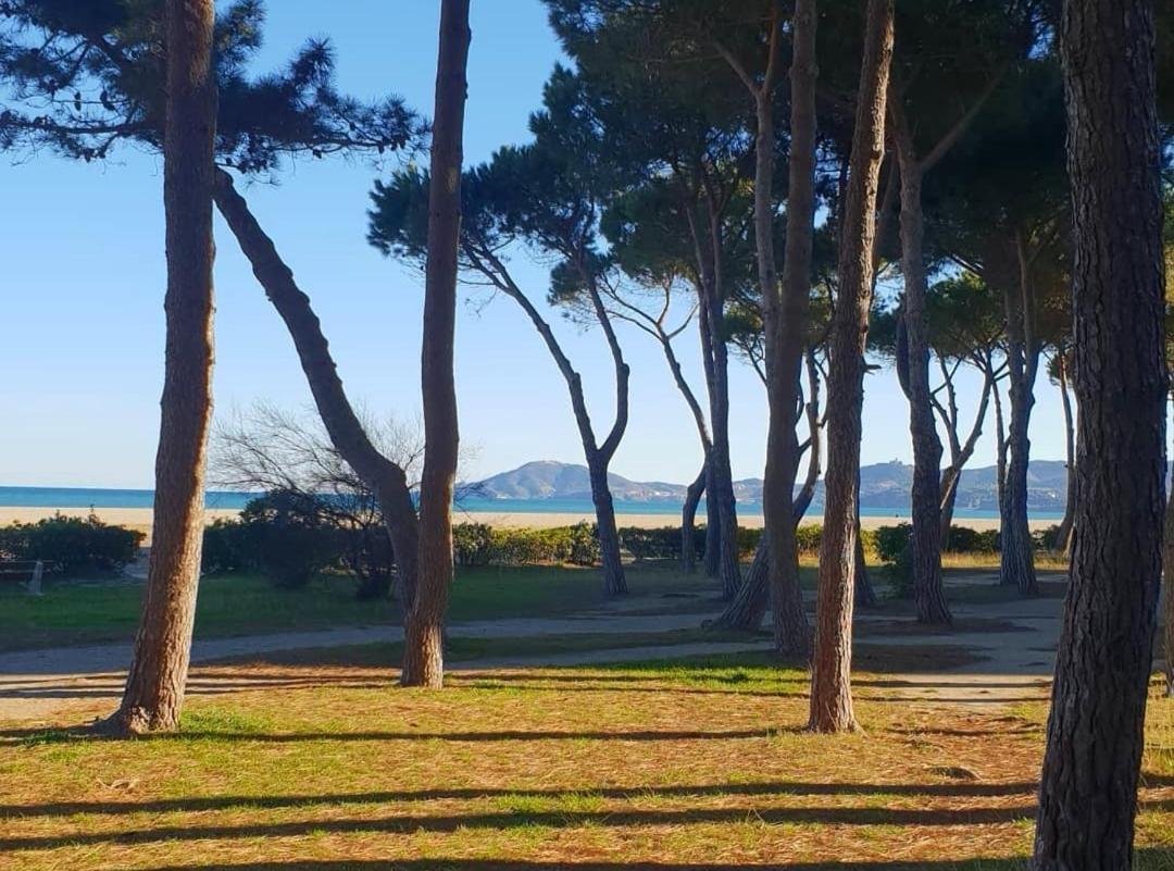 Les Lavandines -Coquette Maison De Vacances - 400 M De La Plage - Grande Terrasse - 2 Chambres - 2 Salles De Bain - Tout Confort Argelès-sur-Mer Esterno foto